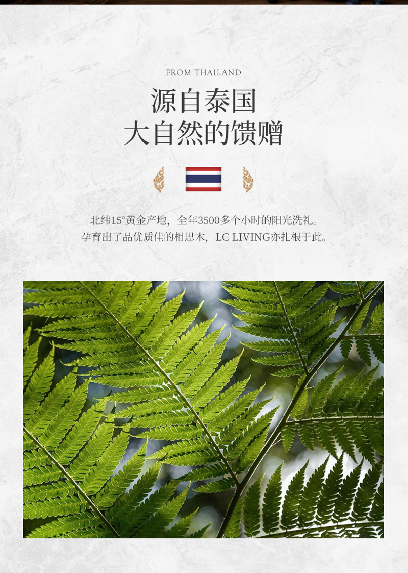 泰国LC LIVING相思木带提手长方形砧板菜板