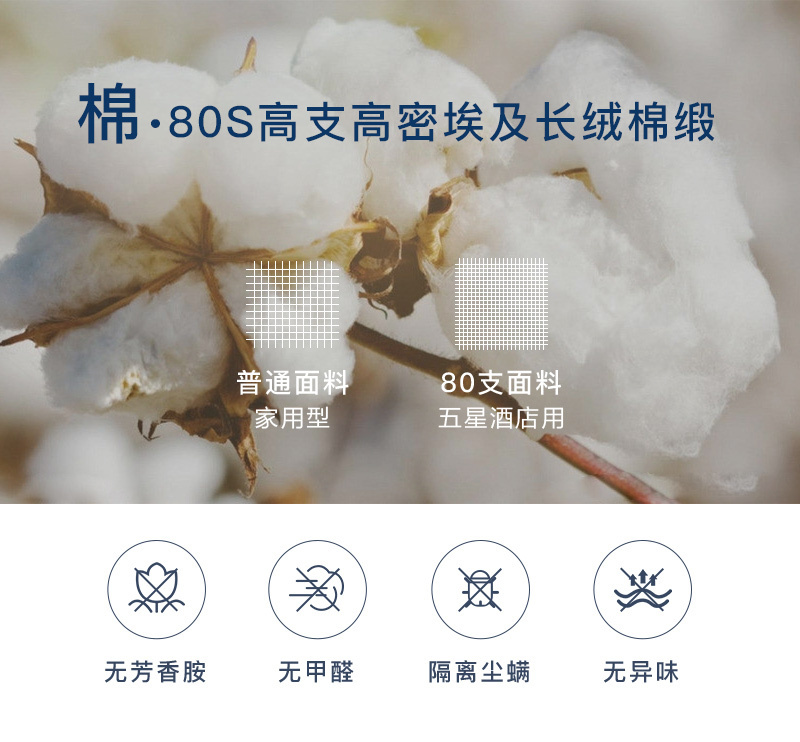 德国原产OBB Royal Bed加拿大95%鹅绒夏被空调被Bodensee博登