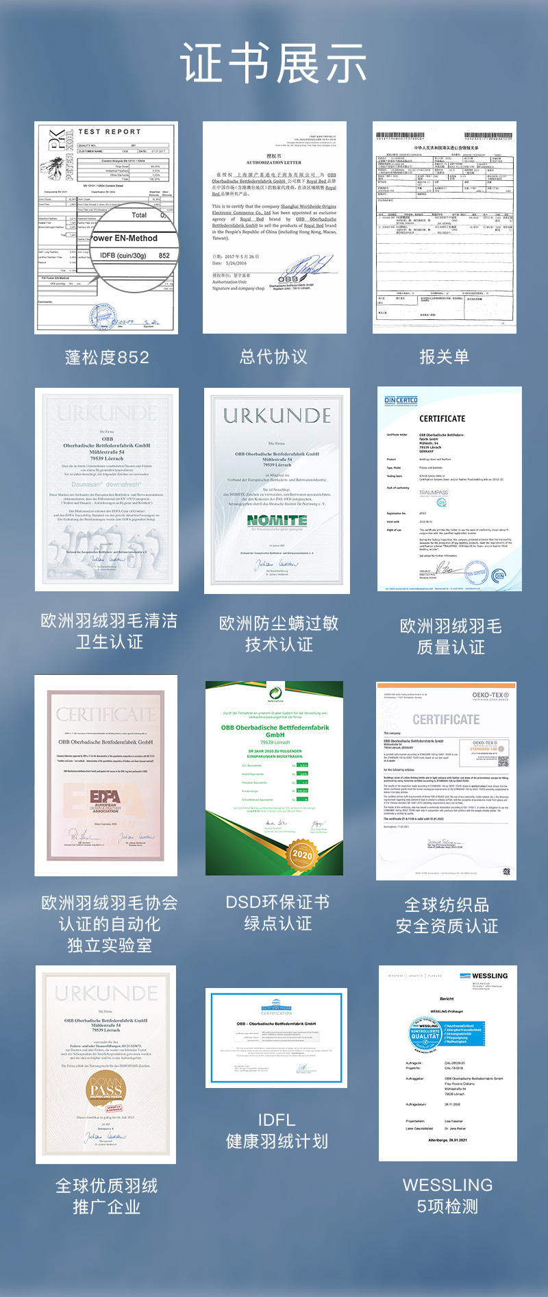 德国原产OBB Royal Bed加拿大95%鹅绒夏被空调被Bodensee博登