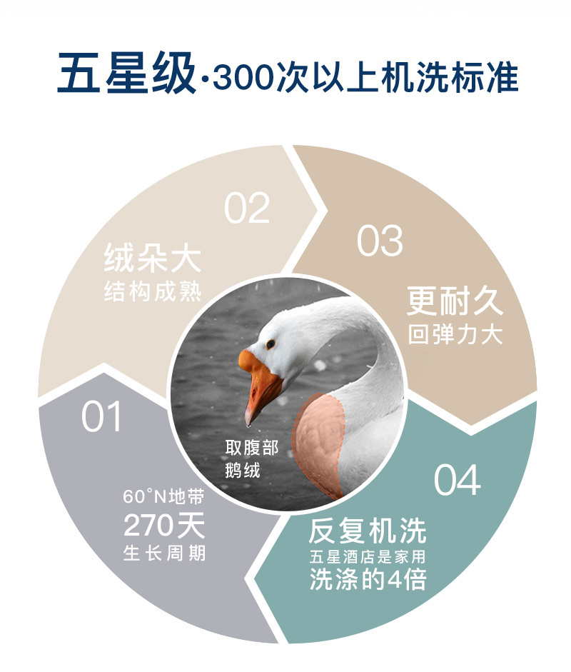 德国原产OBB Royal Bed加拿大95%鹅绒夏被空调被Bodensee博登