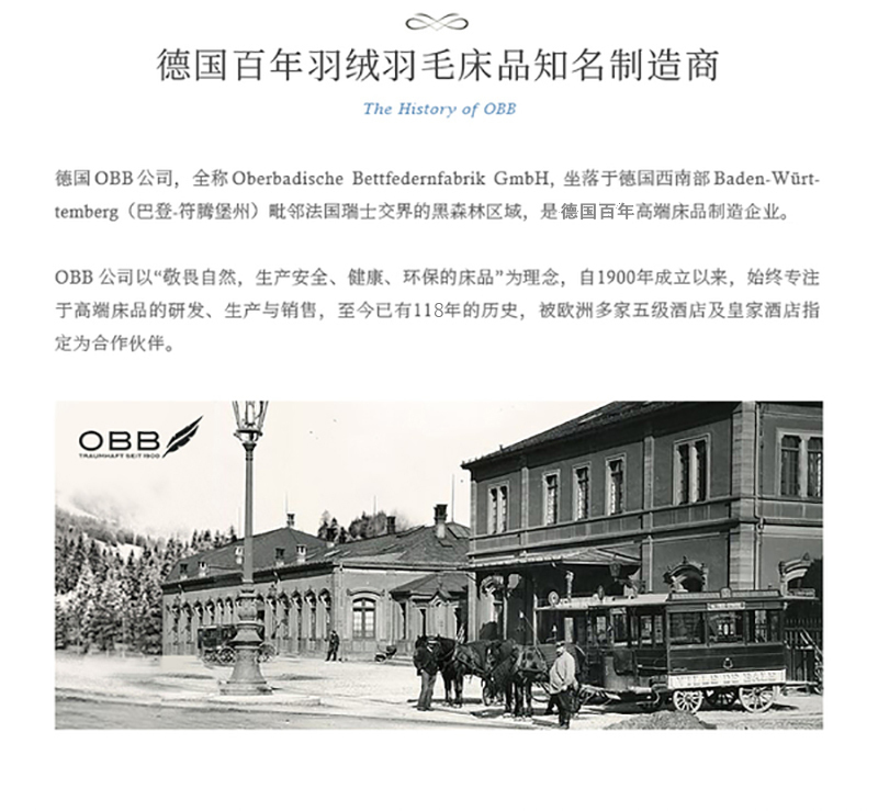 德国OBB royal bed加拿大鹅绒被 Climasphere冬夏两用被