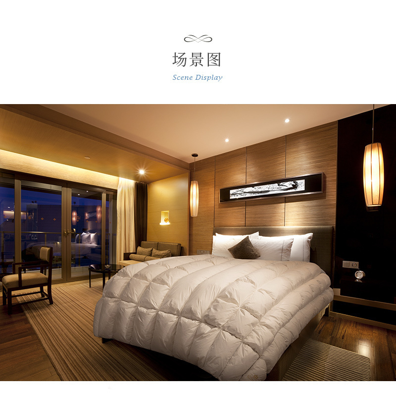 德国OBB royal bed加拿大鹅绒被 Climasphere冬夏两用被