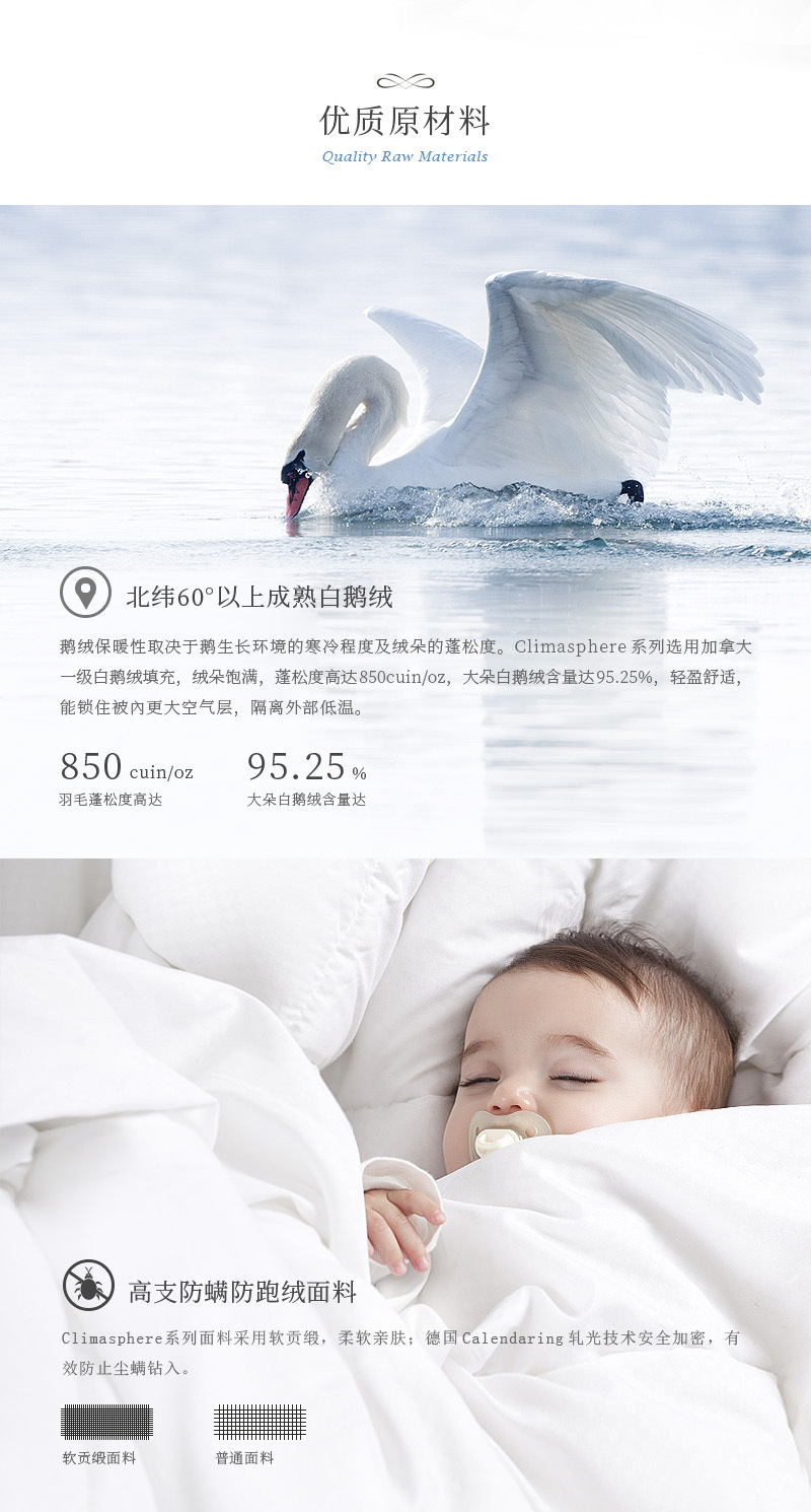德国OBB royal bed加拿大鹅绒被 Climasphere冬夏两用被