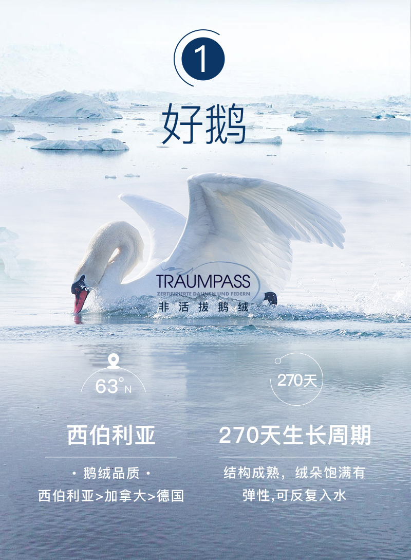 德国原产OBB Royal Bed西伯利亚97.88%雪鹅绒被 国王系列