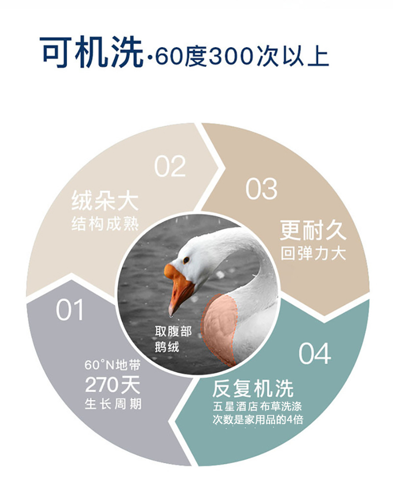 升级版 OBB Royal bed加拿大鹅绒枕头三层枕多瑙Donau系列