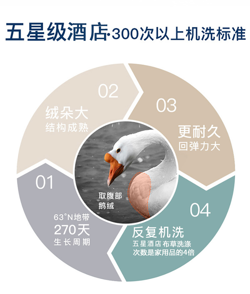 德国原产OBB Royal Bed西伯利亚97.88%雪鹅绒被 国王系列