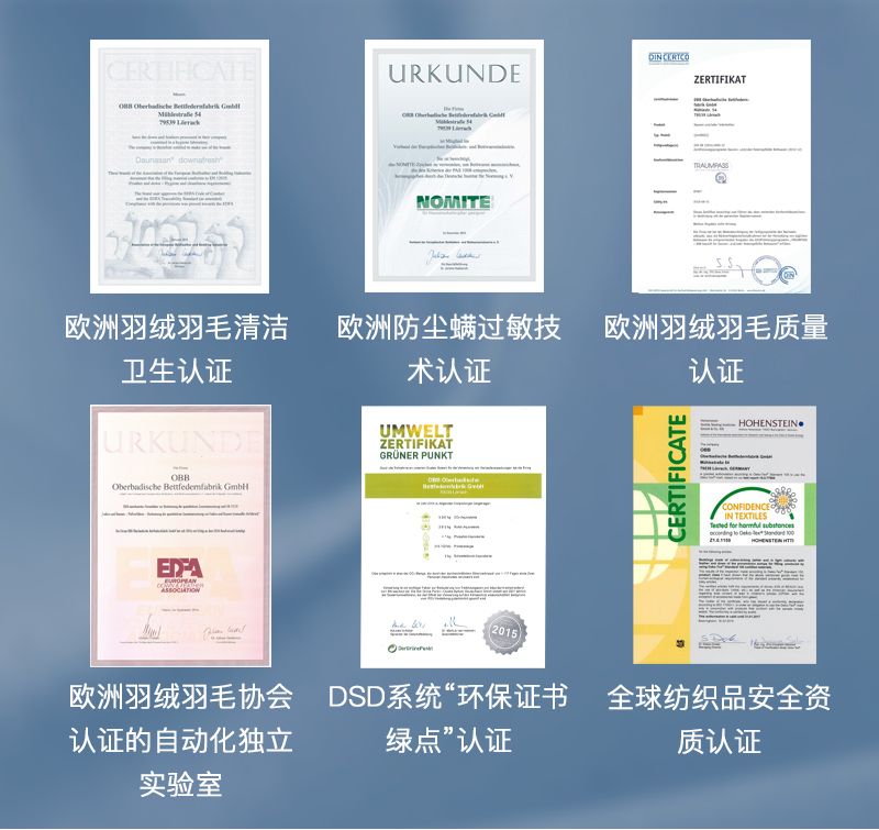 升级版 OBB Royal bed加拿大鹅绒枕头三层枕多瑙Donau系列