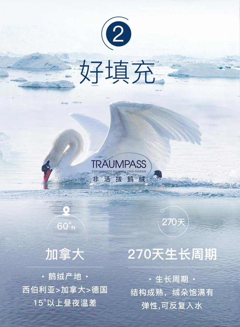 升级版 OBB Royal bed加拿大鹅绒枕头三层枕多瑙Donau系列
