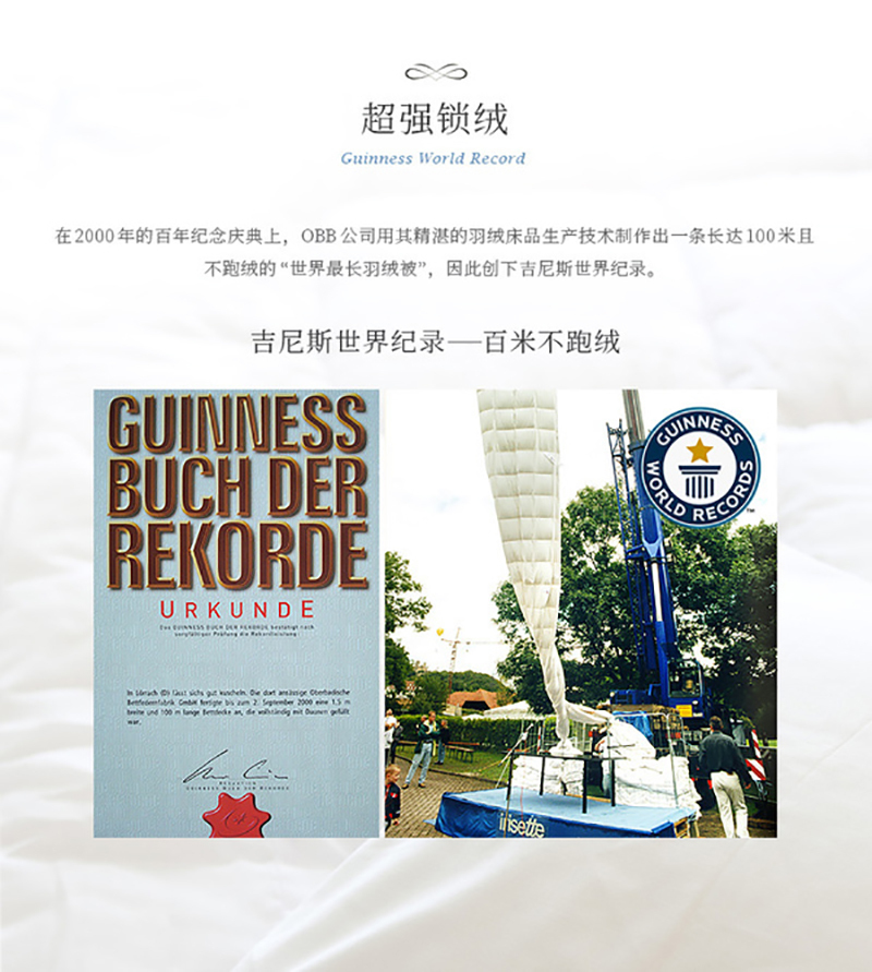 升级版 OBB Royal bed加拿大鹅绒枕头三层枕多瑙Donau系列
