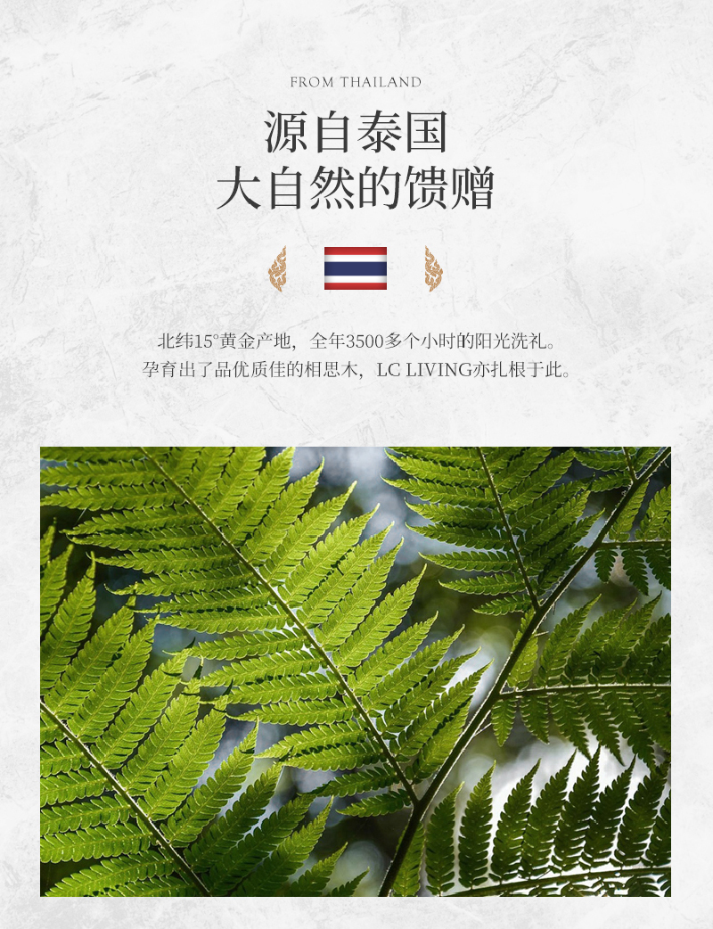 泰国LC LIVING相思木方形带脚菜板砧板案板