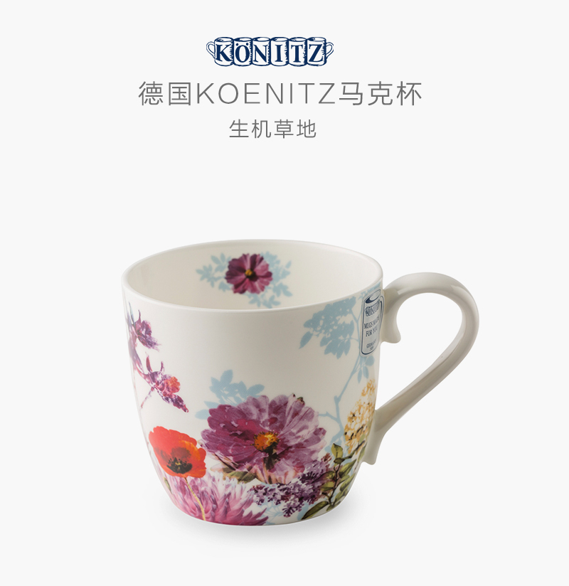 德国原产KOENITZ生机草地瓷器骨瓷杯马克杯450ml