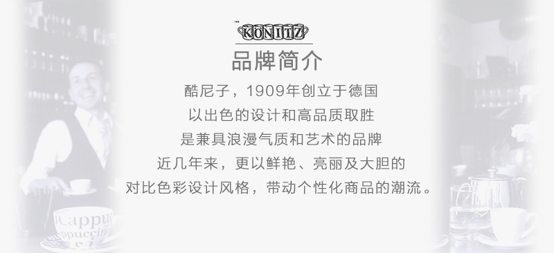 德国原产Könitz陶瓷杯茶杯马克杯 茶伴系列玫瑰果420ml
